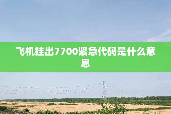 飞机挂出7700紧急代码是什么意思