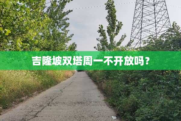 吉隆坡双塔周一不开放吗？