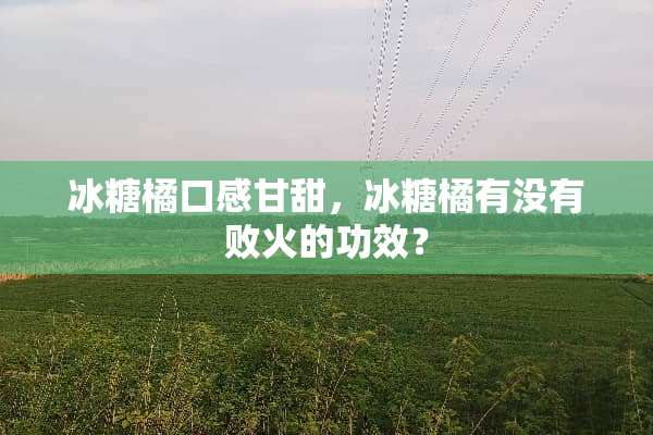 冰糖橘口感甘甜，冰糖橘有没有败火的功效？