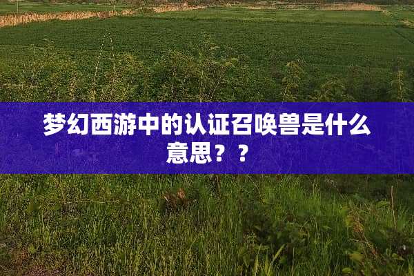 梦幻西游中的认证召唤兽是什么意思？？