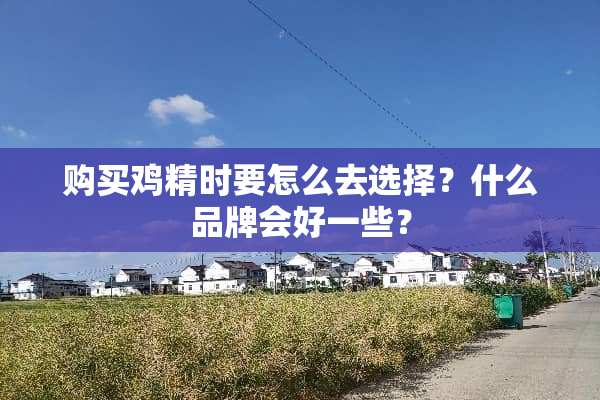 购买鸡精时要怎么去选择？什么品牌会好一些？