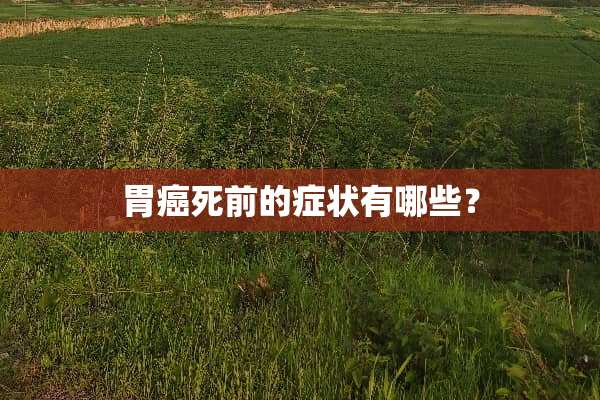 胃癌死前的症状有哪些？