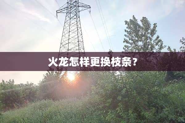 火龙怎样更换枝条？
