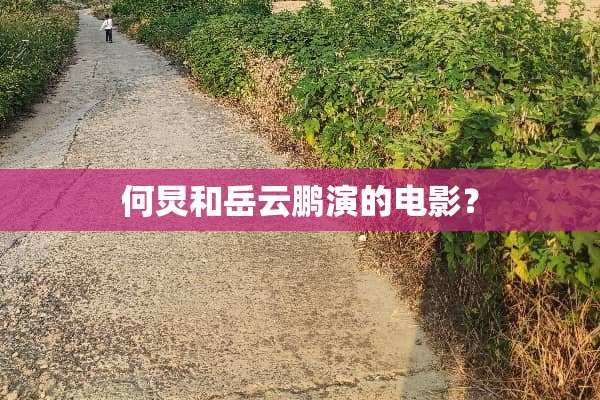 何炅和岳云鹏演的电影？