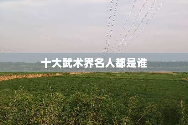 十大武术界名人都是谁