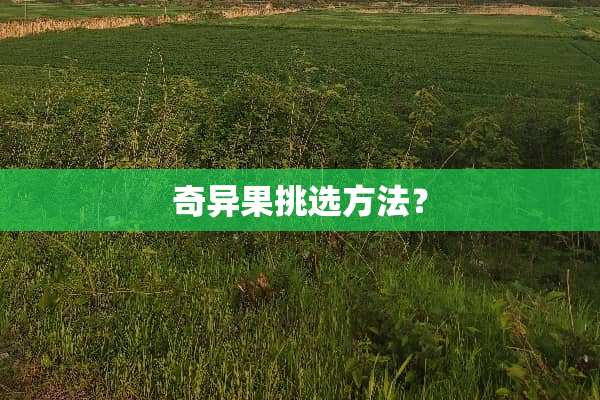 奇异果挑选方法？