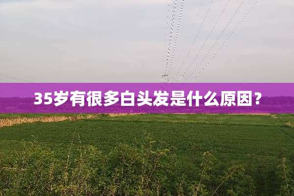 35岁有很多白头发是什么原因？