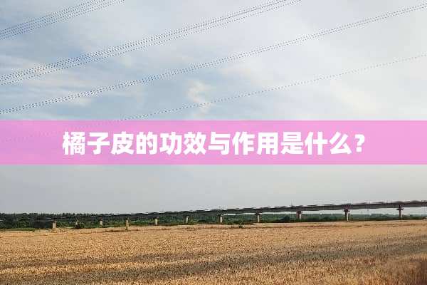 橘子皮的功效与作用是什么？