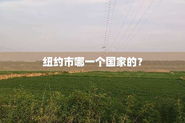 纽约市哪一个国家的？