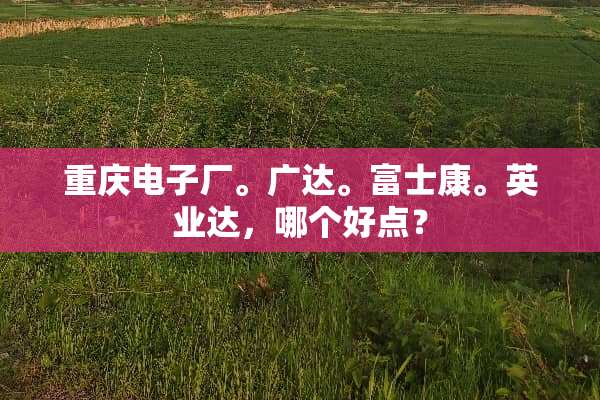 重庆电子厂。广达。富士康。英业达，哪个好点？