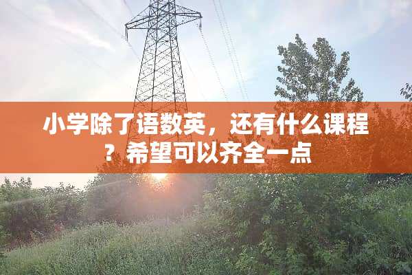 小学除了语数英，还有什么课程？希望可以齐全一点