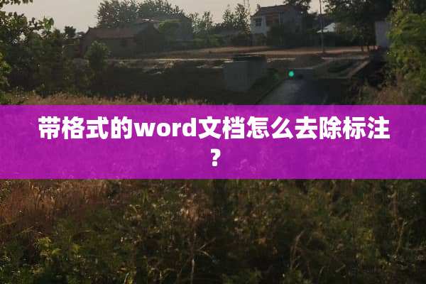 带格式的word文档怎么去除标注？