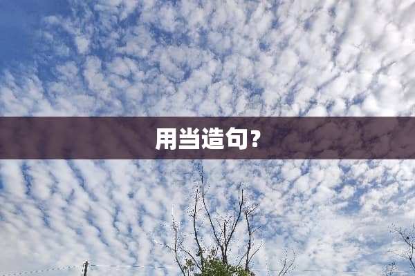 用当造句？