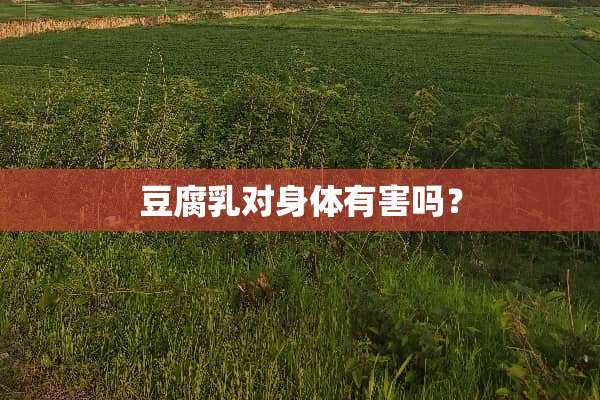 豆腐*对身体有害吗？