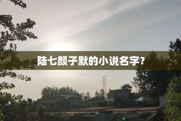陆七颜子默的小说名字？