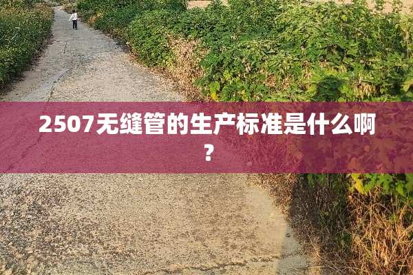 2507无缝管的生产标准是什么啊？