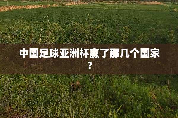 中国**亚洲杯赢了那几个国家？