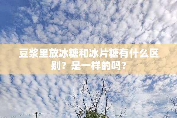 豆浆里放冰糖和冰片糖有什么区别？是一样的吗？