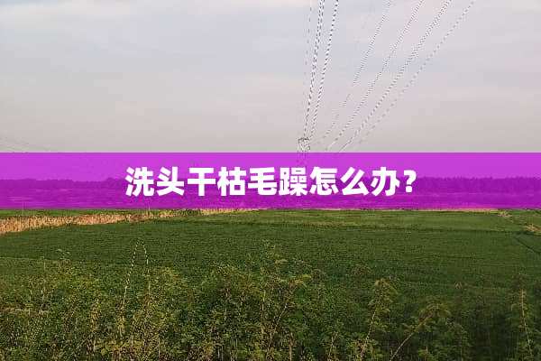 洗头干枯毛躁怎么办？