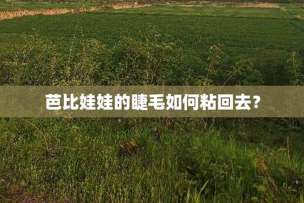 芭比娃娃的睫毛如何粘回去？