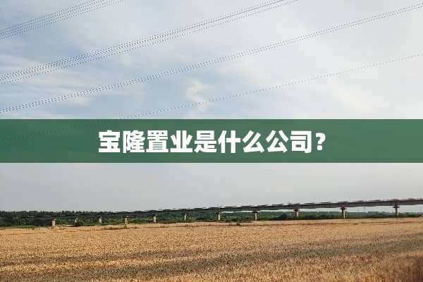 宝隆置业是什么公司？