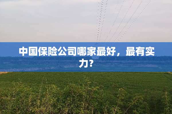 中国保险公司哪家最好，最有实力？