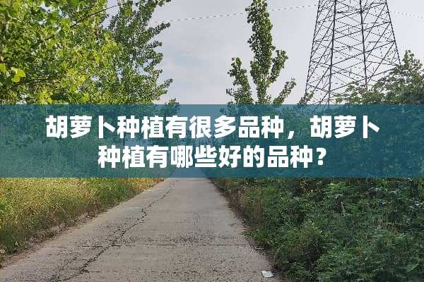 胡萝卜种植有很多品种，胡萝卜种植有哪些好的品种？