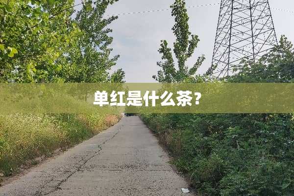 单红是什么茶？