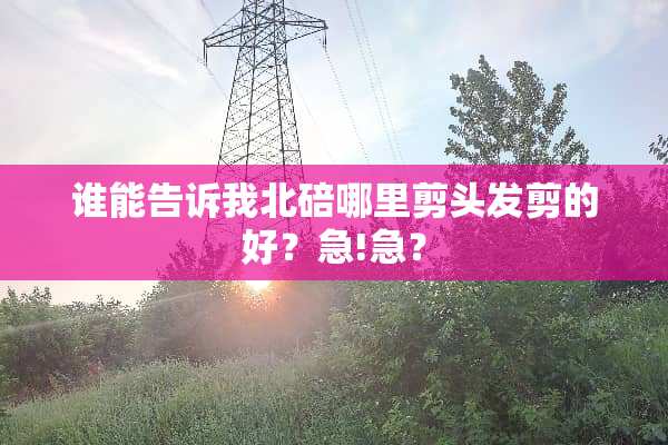 谁能告诉我北碚哪里剪头发剪的好？急!急？