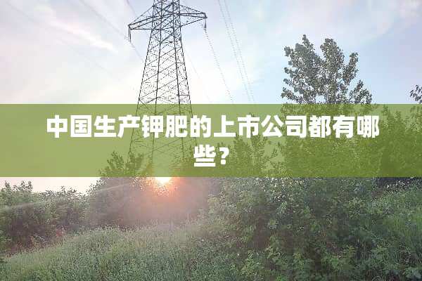 中国生产钾肥的上市公司都有哪些？