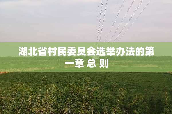 湖北省村民委员会选举办法的第一章 总 则