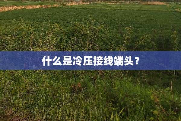 什么是冷压接线端头？