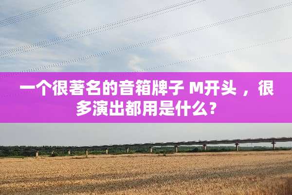 一个很著名的音箱牌子 M开头 ，很多演出都用是什么？