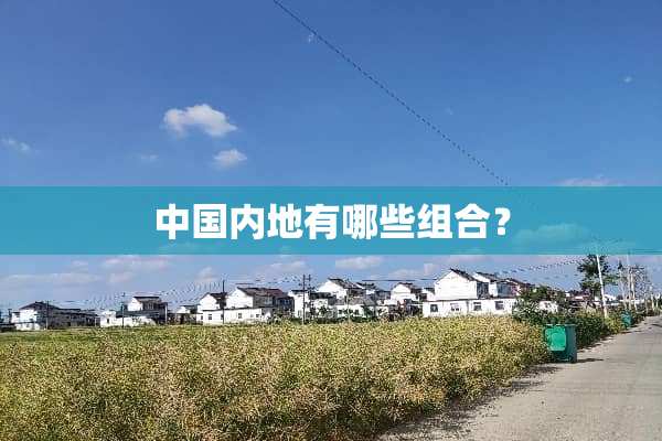 中国内地有哪些组合？