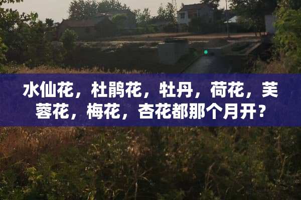 水仙花，杜鹃花，牡丹，荷花，芙蓉花，梅花，杏花都那个月开？