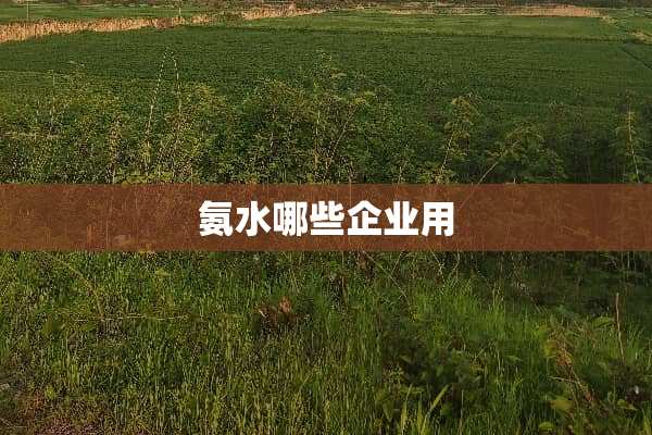 **哪些企业用