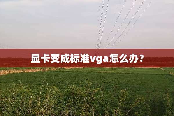 显卡变成标准vga怎么办？