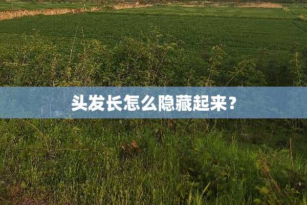 头发长怎么隐藏起来？