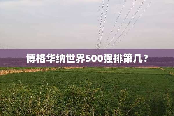 博格华纳世界500强排第几？