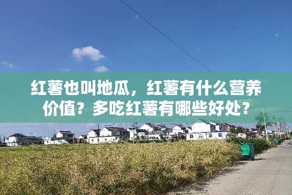 红薯也叫地瓜，红薯有什么营养价值？多吃红薯有哪些好处？