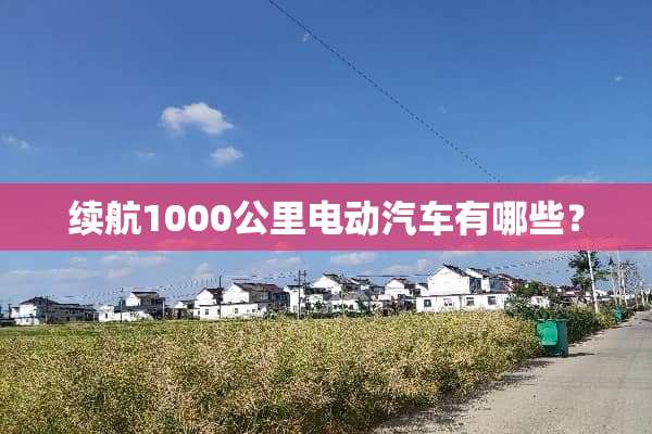 续航1000公里电动汽车有哪些？