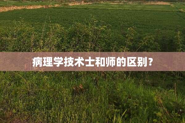 病理学技术士和师的区别？