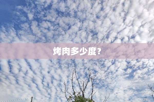 烤肉多少度？