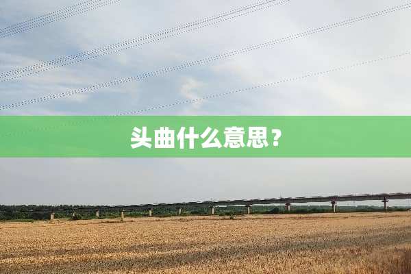 头曲什么意思？