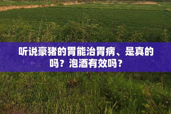 听说豪猪的胃能治胃病、是真的吗？泡酒有效吗？