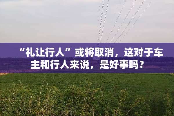 “礼让行人”或将取消，这对于车主和行人来说，是好事吗？