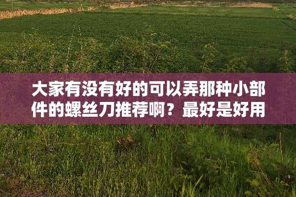 大家有没有好的可以弄那种小部件的螺丝刀推荐啊？最好是好用又方便的。