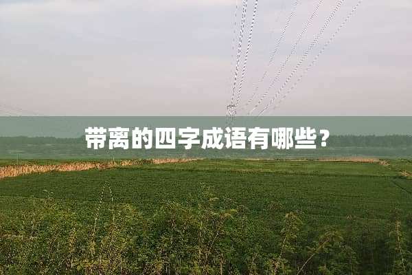 带离的四字成语有哪些？