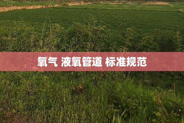 氧气 液氧管道 标准规范