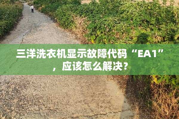三洋洗衣机显示故障代码“EA1”，应该怎么解决？